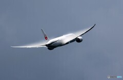 「青色が好き」JAL 787-9 JA867J Takeoff  