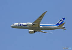 「青色」 ANA 787-8 JA813A 飛ぶ