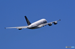 「青い空」が一番 Singapore A380-841 Takeoff  