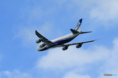 ☆「ブルー」コロナ禍で活躍する貨物機　NCA 747-8KZF