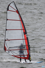 ☀「青い空」　~~風に乗る~~