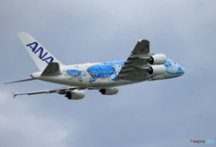 「クール」Flying Honu A380-841 JA381A 出発