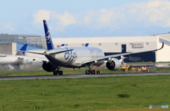 「空色」 Vietnam SKY A350-941 飛行