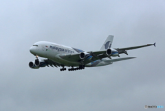 「曇り」 Malaysia A380-841 9M-MND 到着