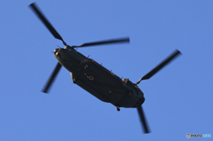 「SKY」☮　日本を守る　☮