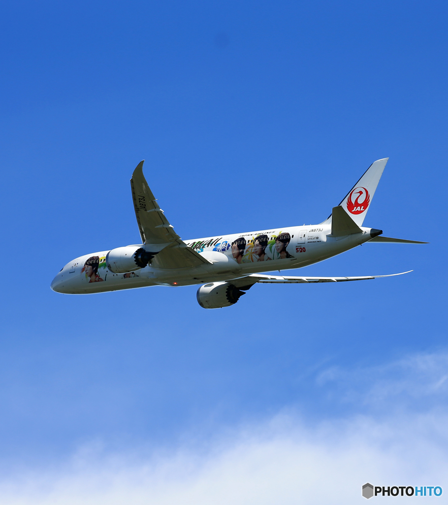 「青い空」が一番 JAL 787-9 「嵐」JA873A☀