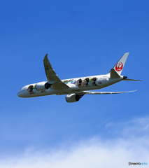 「青い空」が一番 JAL 787-9 「嵐」JA873A☀