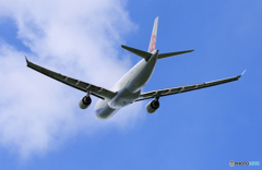 「ぶるー」 China A330-302 B-18356 飛び立ちです