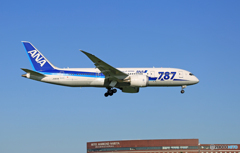「すかい」 ANA 787-8 JA823A Landing