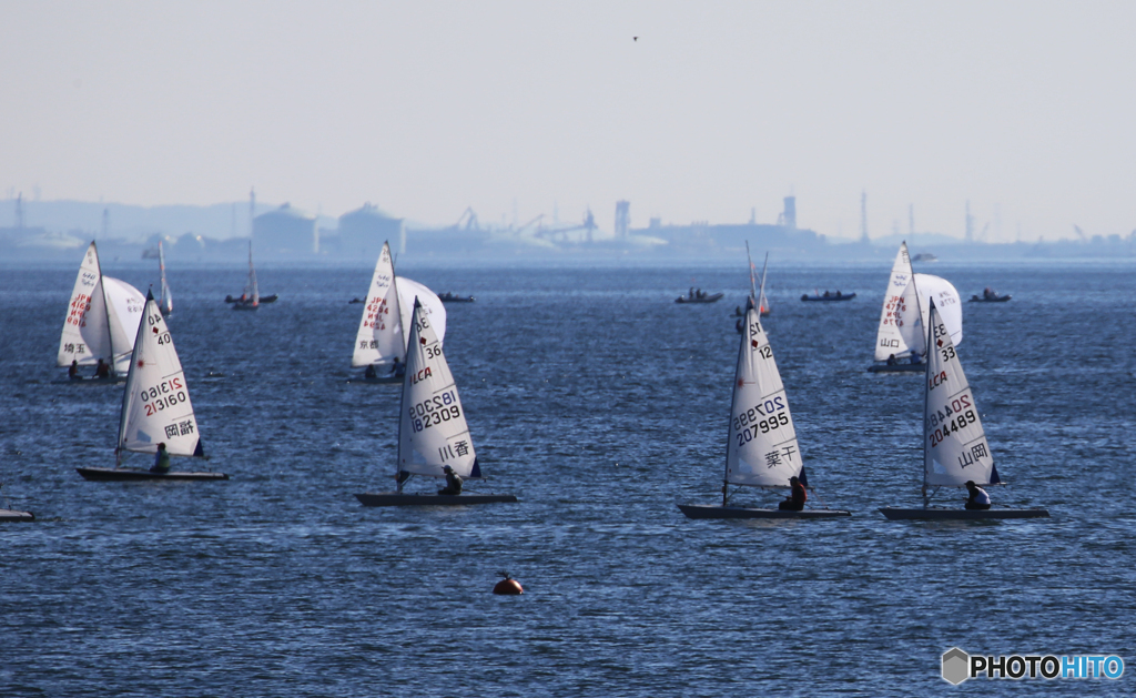 「青い海」整然と・セーリング全国大会