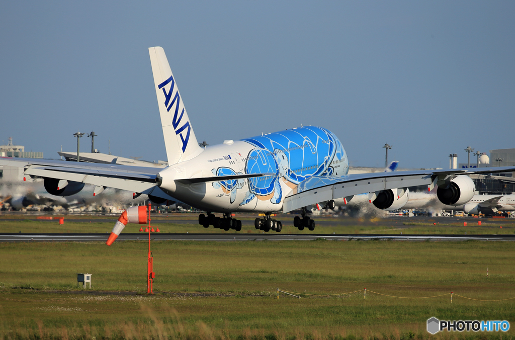 「空色」Flying Honu A380-841  到着