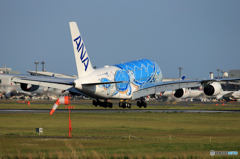 「空色」Flying Honu A380-841  到着