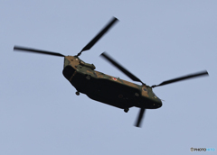 「飛行中」☮チヌーク　CH-47JA☮