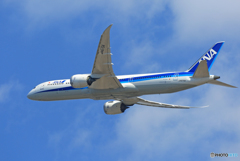 「青色」 ANA 787-9 JA875A 飛び立ちです 