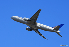 「青の空」UNITED 777-222 N781UA Takeoff 