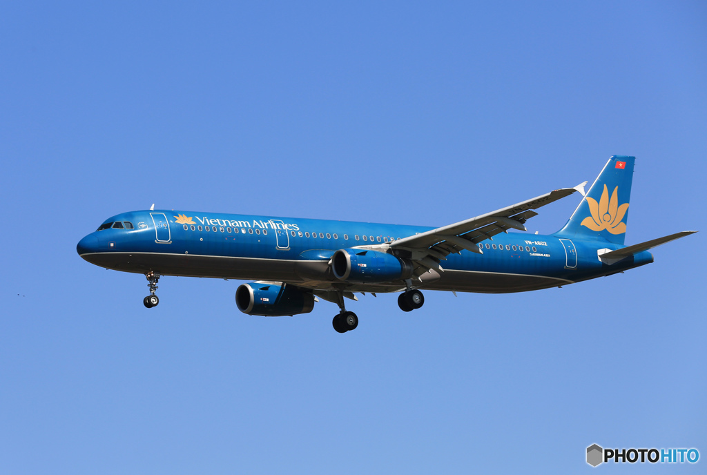 「青色」 Vietnam A321-231 VN-A602 Landing