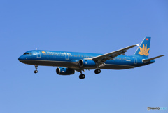 「青色」 Vietnam A321-231 VN-A602 Landing