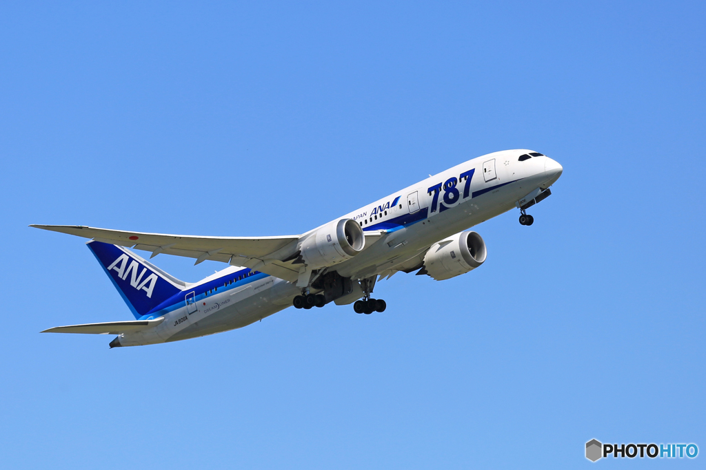 「賀正」 ANA 787-8 JA806A 飛び立ちです