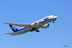 「賀正」 ANA 787-8 JA806A 飛び立ちです