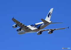 「真青の空」 Malaysia A380-841 9H-MNA飛ぶ