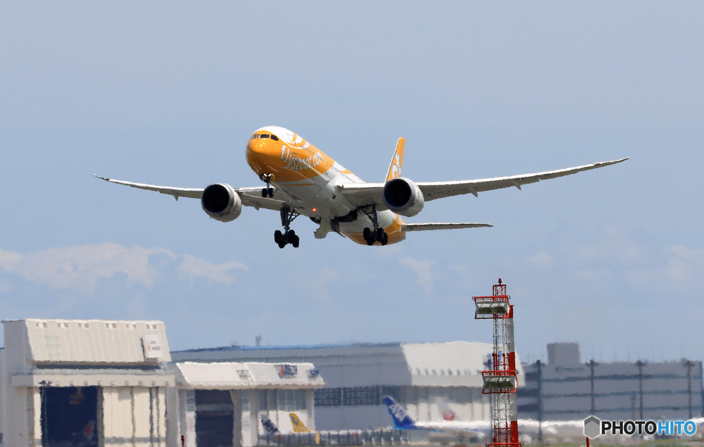 scoot 787-9 9V-OJF 飛ぶ