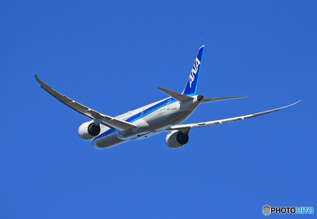「真青の空」 ANA 787-8 JA802A 飛ぶ