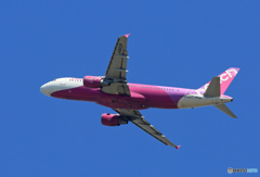 「そらー」 peach A320-214 JA802P 離陸です