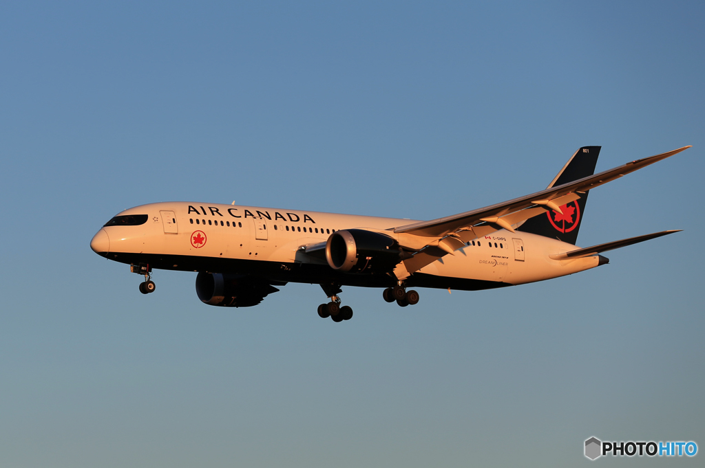 「スカイ」 Air Canada 787-8 C-GHPQ 着陸します