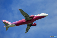 「群青色」 peach A320-214 JA802P 飛び立ちです