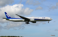 「青が好き」 ANA 777-381 JA782A Landing