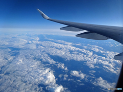 「ブルー」　☮　雲の上から　何時もハレルヤ〜　☮