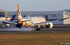 「良い空～」ETIHAD Saudi 787-9 A6-BLN  Landing