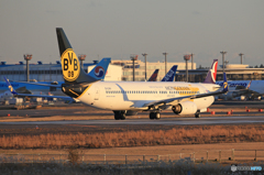 「空色」 モンゴル航空737-800 EI-CXV Takeoff