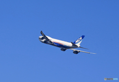 「スカイ」NCA 747-8KZF JA16KZ Takeoff 