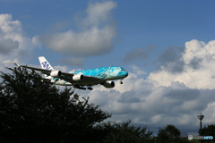 「青」 A380-841 Flying Honu JA382A 着陸です