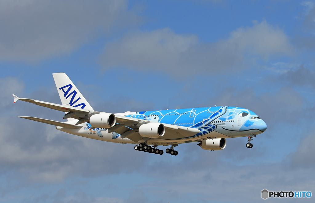 「群青」 Flying Honu A380-841 Landing 