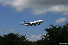 「青が大好き」 UNITED 777 N2533U Landing 