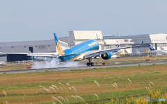 「良い空～」Vietnam A350-941 VN-A893  Landing 