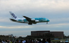 「青が大好き」 Flying Honu A380-841 きたー！