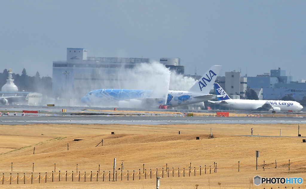 「スカイ」？ アントキの ホヌ襲来歓迎式!