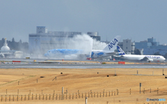 「スカイ」？ アントキの ホヌ襲来歓迎式!