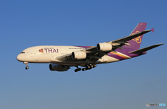 「群青色」 THAI A380-841 HS-TUD Landing 
