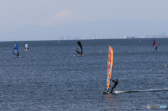 「スカイ」東京湾 ・ ウインドサーフィン　fujiyama