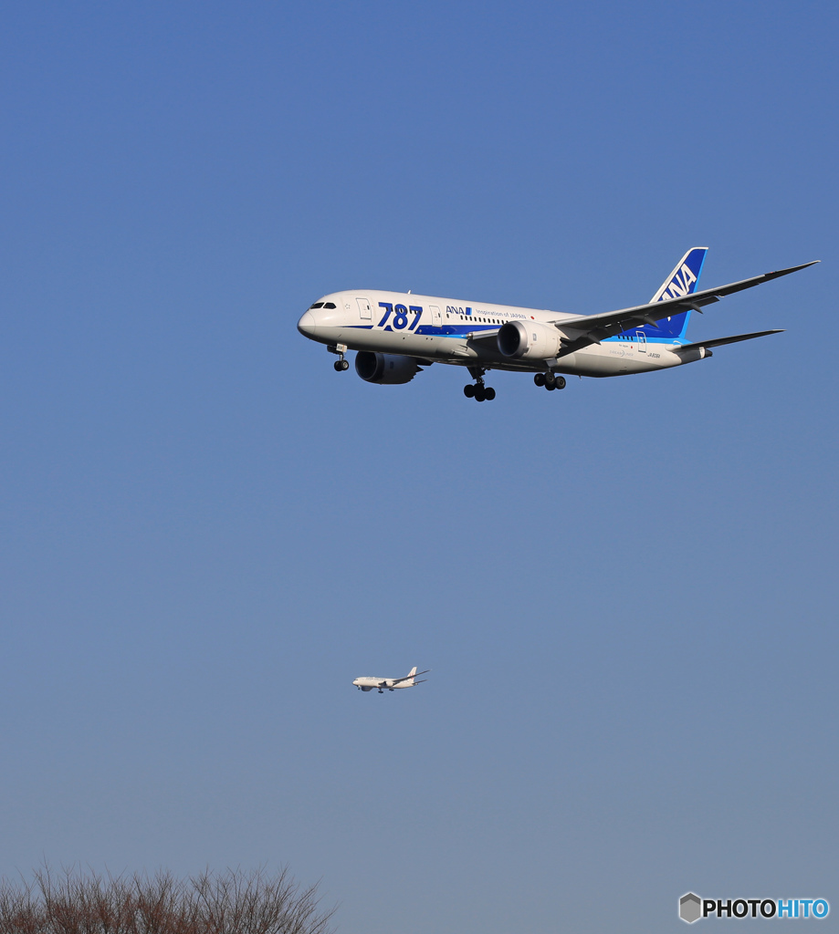 「青色」 ANA 787-8 JA806A 到着しました