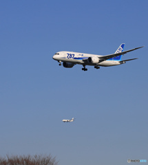「青色」 ANA 787-8 JA806A 到着しました