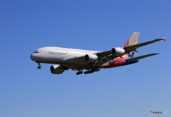 「青が大好き」アシアナ A380-841 HL7626 Landing