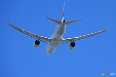 「空色」 JAL 787-9 JA874J 出発