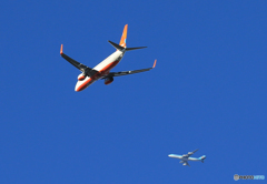 「真青の空」 JEJU 737+747 クロス 飛ぶ