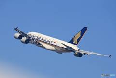 「空色」Singapore A380-841 飛び立ちです