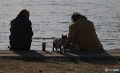 「あおぞら」　海辺・猫と散歩の老人